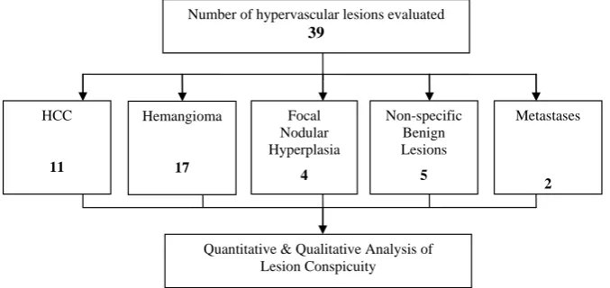 Figure 3 Reference Images for grading visual conspicuity of lesions. Non-visualised lesions were graded 1; A poorly visualised lesion of grade 2 conspicuity (A); An adequately visualised lesion with poor margin delineation of grade 3 conspicuity (B); A les