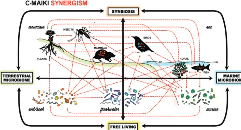 FIG 1Conceptual schematic of C-MAIKI’s approach to address pressing questions in microbiome research by evaluating synergy (red arrows) amongenvironmental microbiota and their hosts—from free-living to symbiotic lifestyles—leveraging the unique and replica