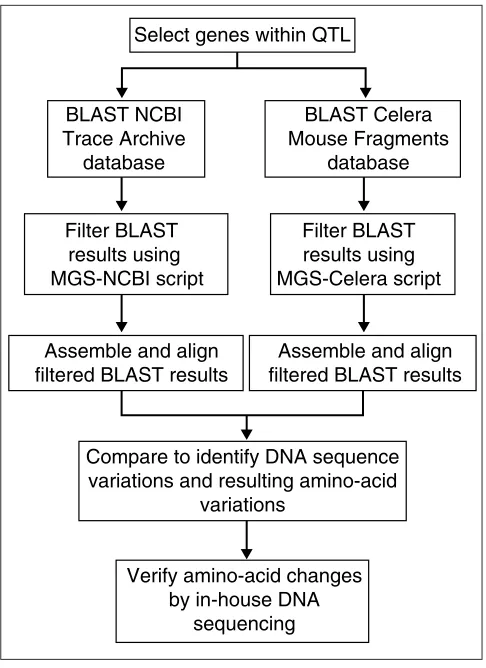 Figure 1Strategy for 