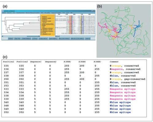 Figure 5An example of the SCF coloring format. (a) Colored MSA selections; (b) the selections mapped to a representative protein structure; (c) text encoding