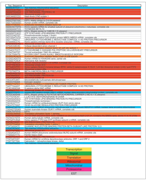 Figure 2 (continued from the previous page)The strictly minimal transcriptome set, representing the 156 tags that were found in each and every SAGE library constructed from more than 20,000sequenced tags