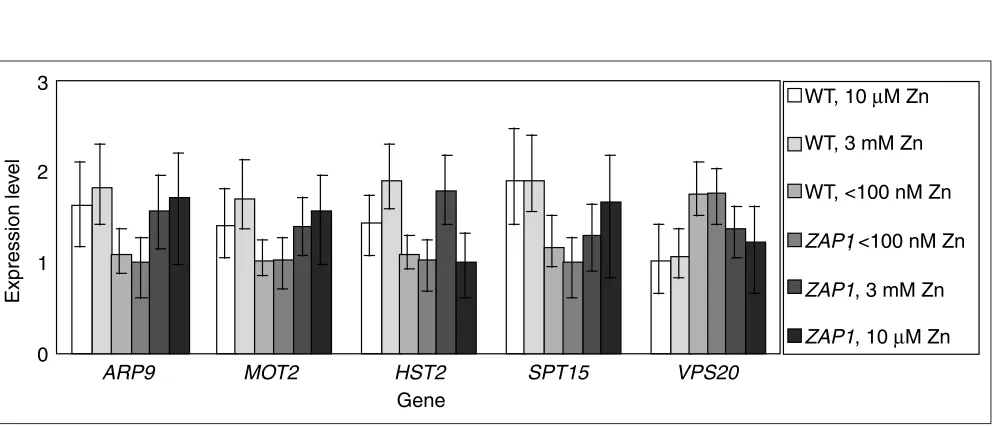 Figure 9A sample of genes differentially expressed between (wild type, 3 mM zinc) and (wild type, < 100 nM zinc) expression nodes