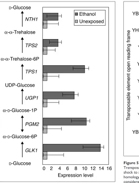 Figure 5Transposable-element transcripts are abundant after 30 min ethanol