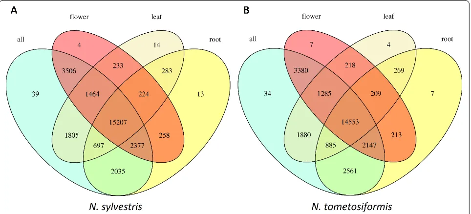 Figure 3 Clusters of orthologous genes fromand N. sylvestris, N. tomentosiformis, tomato and Arabidopsis