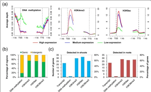 Figure 2 Epigenomic profiling in maize inbred lines and their reciprocal hybrids. (a) Distribution of DNA methylation, H3K4me3 andH3K9ac levels around transcription start site (TSS) and transcription termination site (TTS) of differentially expressed genes