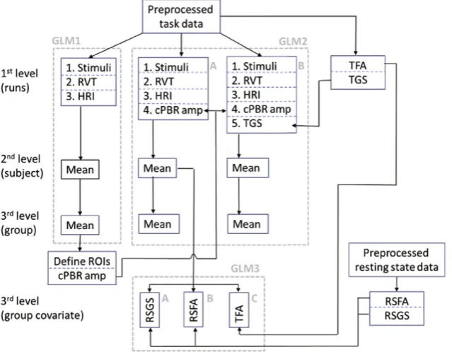 Fig. 1. Schematic diagram of the three GLM analyses performed in this study is indicated by the grey dashed boxes