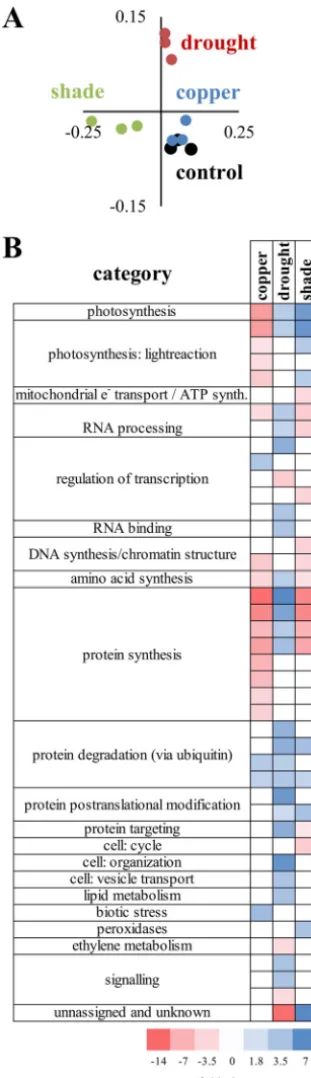 FIG 2 Plant transcriptional responses to treatments. Plant transcriptomes were sequenced (three percondition) and analyzed