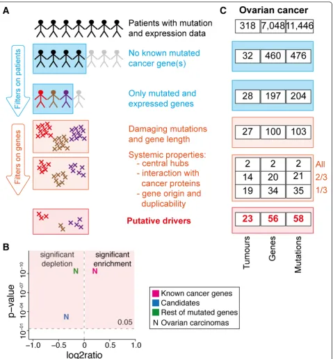 Figure 3 Identification of novel driver genes in ovarian carcinoma. (A) Pipeline to identify putative driver genes on the basis of patient andgene properties