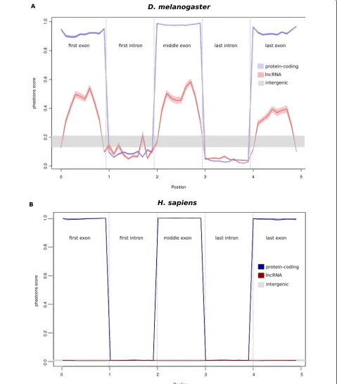 Figure 1 Median sequence conservation (phastCons) score across protein coding (blue) and lncRNA (red) exons and introns in D .melanogaster (A) and in human (B)