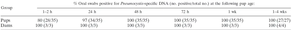 TABLE 1. Time of P. carinii presence in rat neonates by PCR detection of P. carinii-speciﬁc DNA from oral swabs