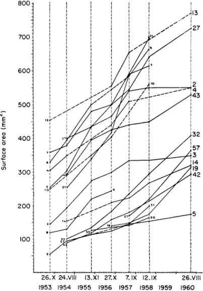 FIG.  5 . Growth of various lichens in Poland from  1 9 5 3 - 1 9 6 0 calculated as increase  in surface area