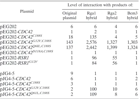 TABLE 2. Two-hybrid interactions of Rga1, Rga2, andBem3, with Cdc42 and Rsr1a