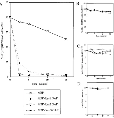 TABLE 3. Quantiﬁcation of cell morphologies for deletions of the GAPs for Cdc42a