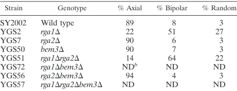 TABLE 6. Activation of FUS1-lacZ by deletion of GAPs for Cdc42