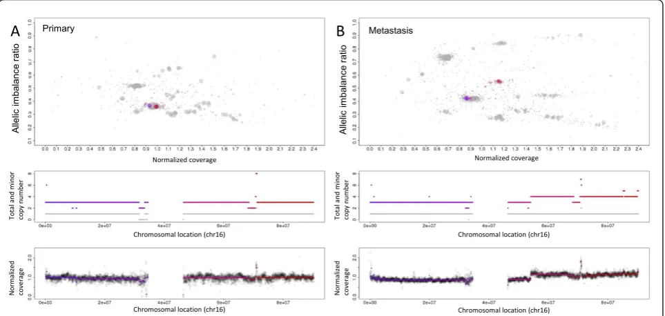 Figure 3 Allele-specific copy number analysis of a breast-cancer primary tumor and metastasissegments; middle panels: total and minor copy number for chromosome 16; bottom panel: normalized coverage for chromosome 16