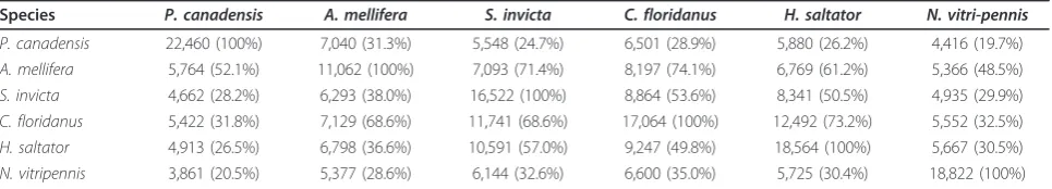 Table 1 Number of best BLAST hits between the genes of sequenced genomes for aculeate hymenopterans