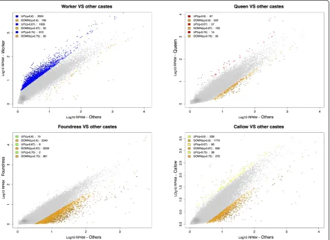 Table 2 Isotig and isogroup differential expression statistics for the four adult female phenotypes in P