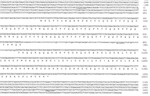 FIG. 1. Sequence of the MS8are shown in parentheses. The ﬁrst transcriptional start site is designatedA putative TATA box (underlined) was found 44 nt upstream of thesplice box (underlined)