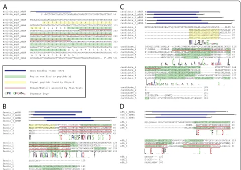 Figure 4 Identification of new urodele-specific protein families. Schematic transcript sequence indicates flanking UTRs and included ORFwith start and stop codon marked in blue