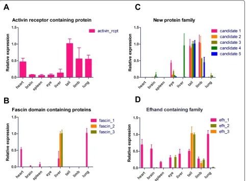 Figure 5 Expression of newly identified genes in adult tissues of the newt. Real time RT-PCR analysis (n ≥ 3) of selected candidates andfamilies in adult heart, brain, spleen, total eye, liver, tail, limb and lung