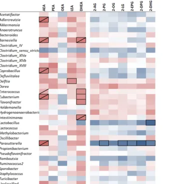FIG 6 Correlation between ileum microbiota composition and local endocannabinoidome during HFHS feeding