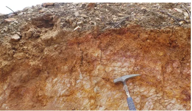 Figure 7 – Stockwork veining at west side of chargeability anomaly. 