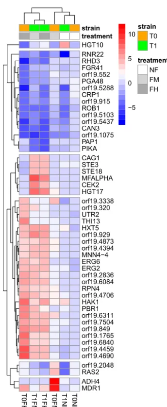 FIG 3Gene expression heatmap. Depicted are DEGs with a 4-log-fold change for at least onecomparison and a false discovery rate-adjusted P value of �1e�18.