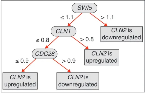 Figure 1The decision tree for gene CLN2 of S. cerevisiae. Here CLN2 is thethe first classification problem we used all the data, for the