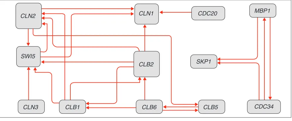 Figure 2The network of gene interactions constructed using the decision rules for the the information comprised in the extracted decision rules