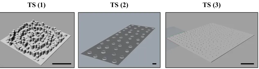 Figure 3: Designs of surface arrays to enhance biointegration of scaffolds. Features had their X Y pitches, diameter and heights normally distributed