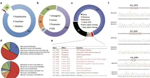 FIG 2Single nucleotide polymorphisms or small insertion/deletions in triazole-resistant C