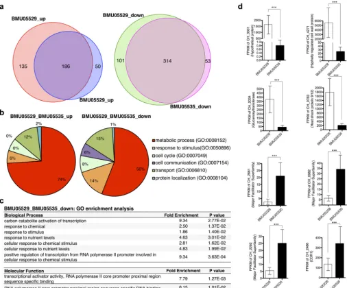 FIG 3 Gene expression differences between triazole-susceptible and -resistant C. haemulonii strains without drug treatment