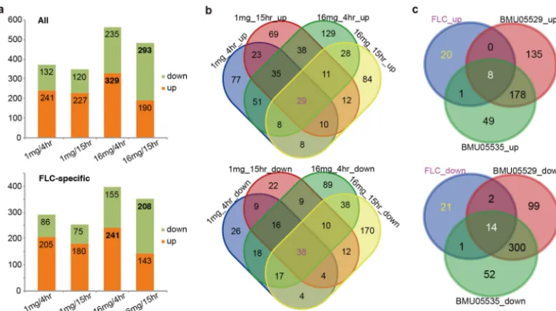 FIG 4Gene expression differences between triazole-susceptible and -resistant C. haemulonii strains with or without FLCtreatment