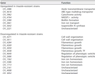 TABLE 1 Functional annotation for the genes with constitutive and constant expressiondifferences between triazole-susceptible and -resistant strains
