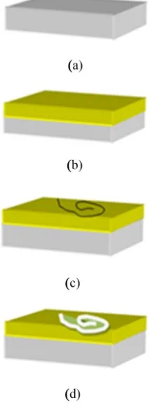 Figure 1. Schematic diagram showing the sample (a) cleaning silicon surface with standard method; (b) Aluminium deposition with thermal evaporation method; (c) DNA strands transfer on Al surface; (d) Removal of DNA strands off the surface reveals imprint o