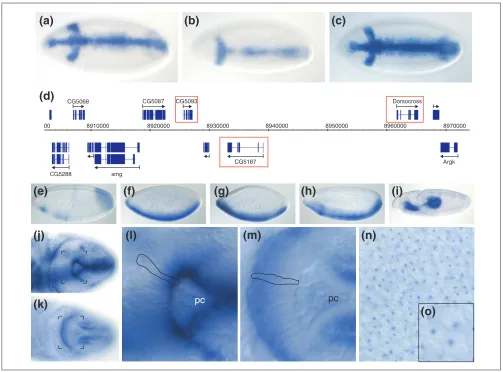 Figure 9Examples of interesting observations from this project.