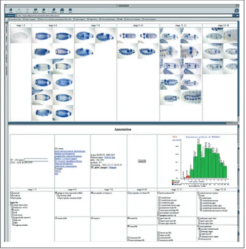 Figure 4 shows the comparison of array and image data for a