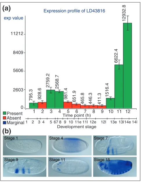 Figure 4Comparison of image and microarray data for gene microarray expression profile of the gene clone LD43816