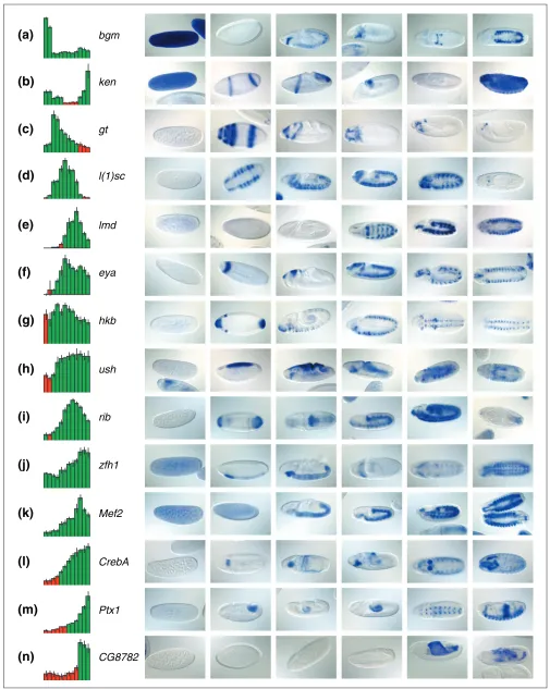 Figure 5 (see the legend on the next page)