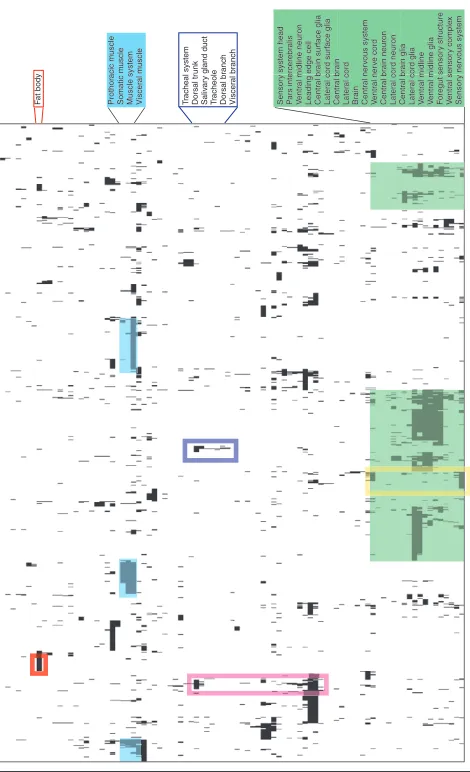 Figure 8Hierarchical clustering of controlled vocabulary annotations. Columns of
