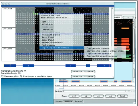Figure 10Fine control of editing requires close examination of the gene structure.This is accomplished in the exon editor panel, which provides a sequence-level view of gene models