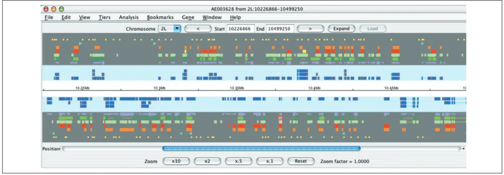 Figure 1A standard view in Apollo, showing a 250 kb segment of entirely new regions by changing the chromosome arm and the start and end positions