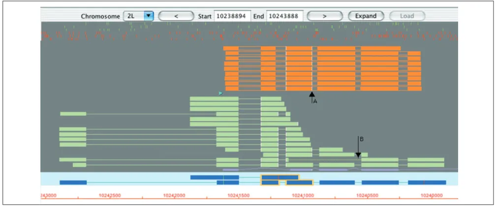 Figure 2Some of the feature appearance options that are available. Each feature’s shape, visibility, color and panel position is configurable