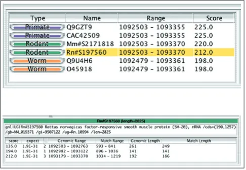 Figure 3A tier organizes a collection of one or more feature types into a single horizontal row in the view
