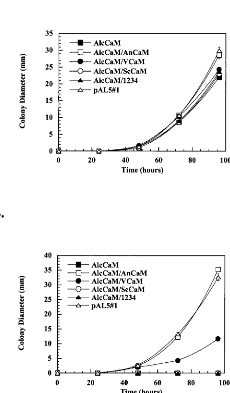 TABLE 2. CaM expression in medium containing glycerolor glucose