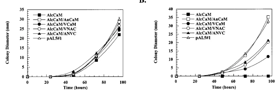 FIG. 5. Complementation of A. nidulansVCaM (closed circles), VNAC (open circles) and ANVC (closed triangles) were grown on either MMG (A) or MMD (B) agar plates, and growthwas quantiﬁed by measuring colony diameter over a period of 5 days