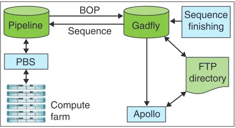 Figure 3Pipeline dataflow. Finished genomic sequence is deposited in Gadfly, andthen fed to the pipeline database, which manages jobs, dispatching themto the compute farm via PBS