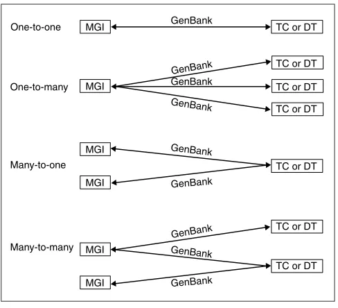 Figure 2Examples of MGI-to-TC and TC-to-MGI associations with supporting GenBank sequences