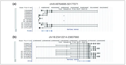Figure 3Transcripts can be aligned to the mouse genome assembly using BLAT search at the UCSC Genome Browser