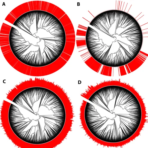 FIG 3 Phylogenetic signal of selected traits: presence of pigment (A), spore formation (B), pH optima (C), and temperature optima (D)